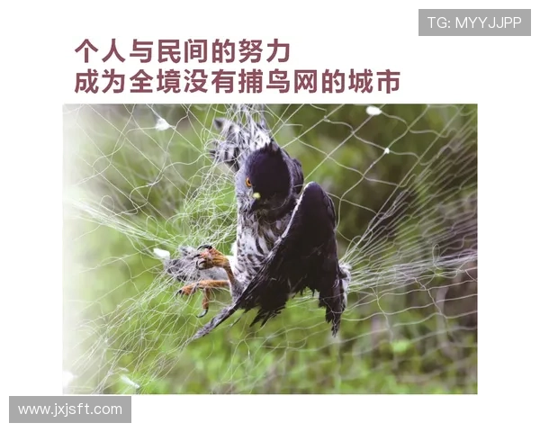 深圳乒乓球队防反战术解析与热点动态全景解读